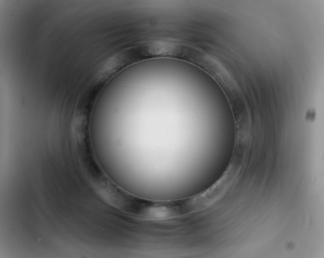 X0000102840171200808181356