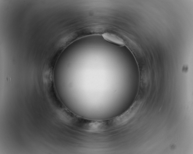 X0000102840172200808181356