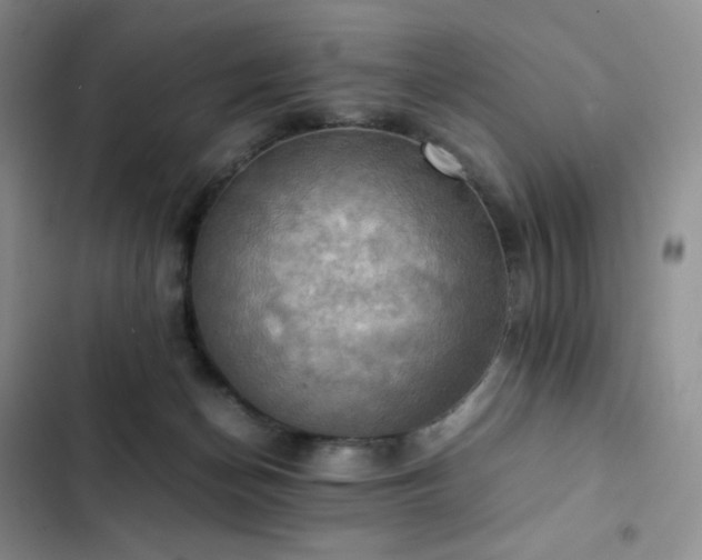 X0000102840174200808181356