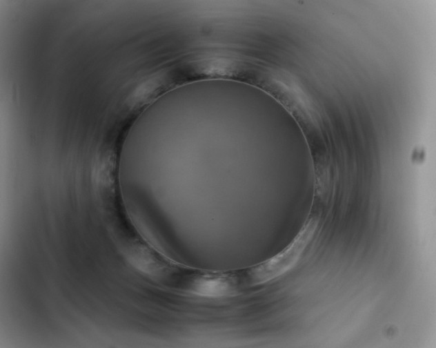 X0000102840175200808181356