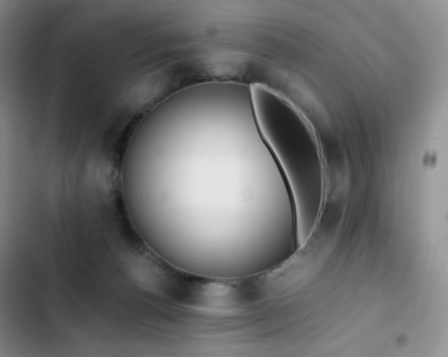 X0000102840176200808181356