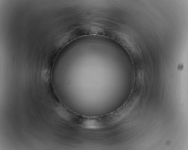 X0000102840177200808181356