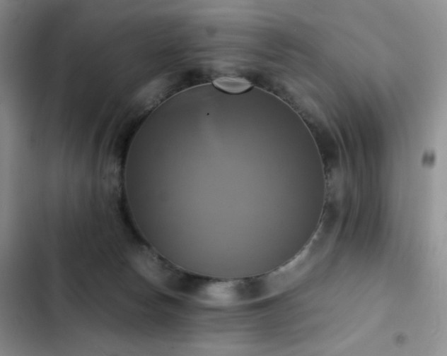 X0000102840178200808181356