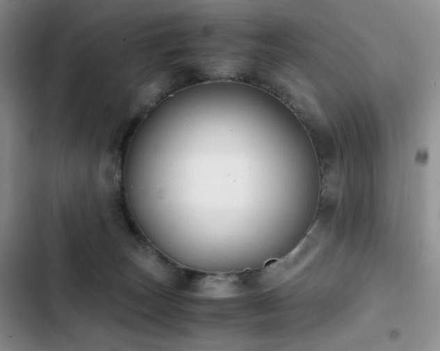 X0000102840179200808181356