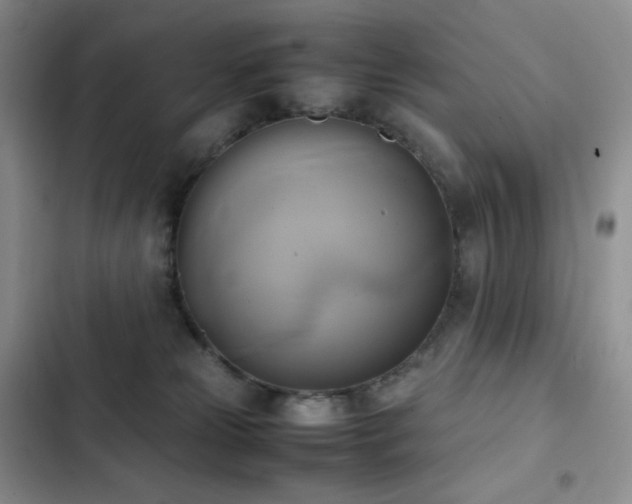 X0000102840181200808181356