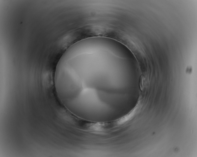 X0000102840182200808181356