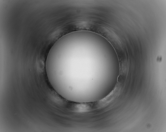 X0000102840183200808181356