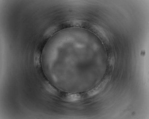 X0000102840185200808181357