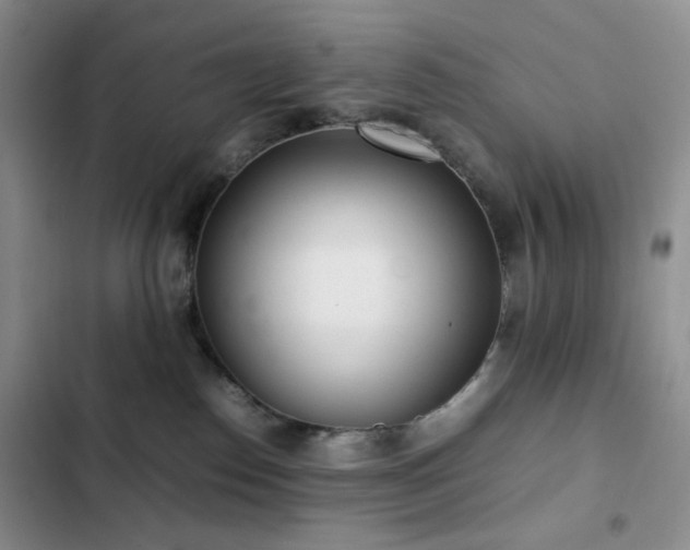 X0000102840186200808181357