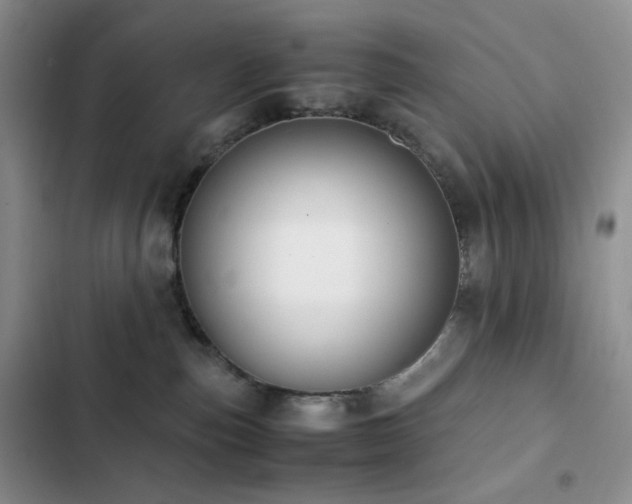 X0000102840187200808181357