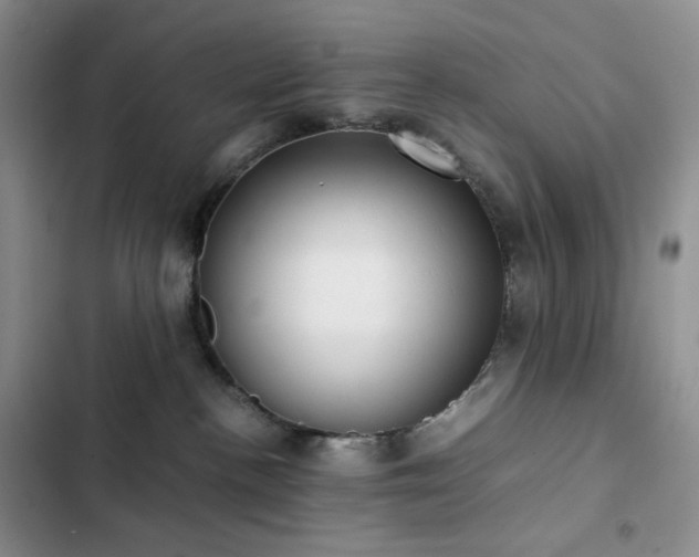 X0000102840188200808181357