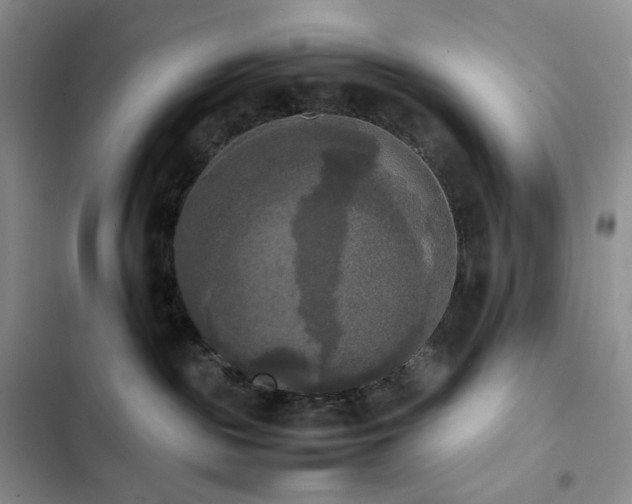 X0000102840189200808181357