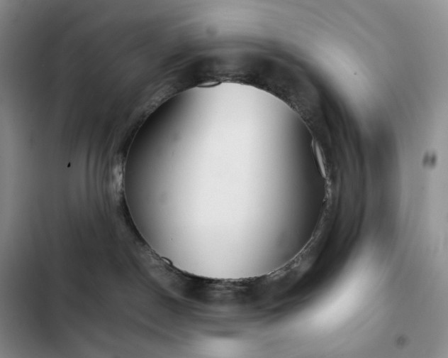 X0000102840190200808181357