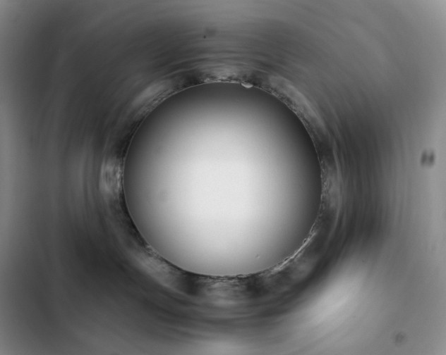 X0000102840191200808181357