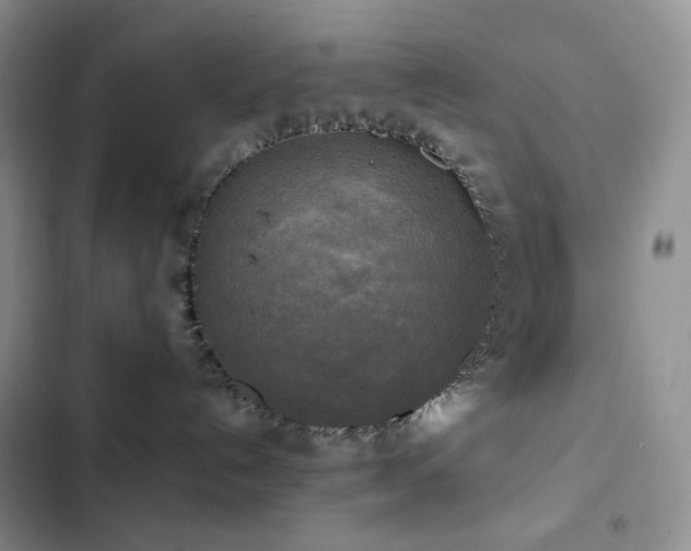 X0000102840192200808181357