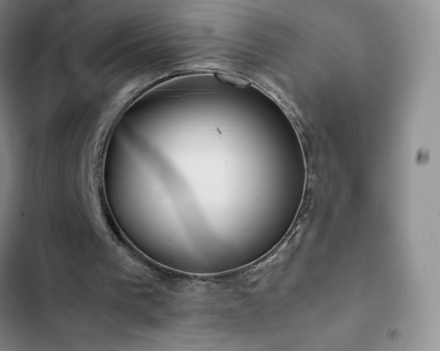 X0000102840193200808181356