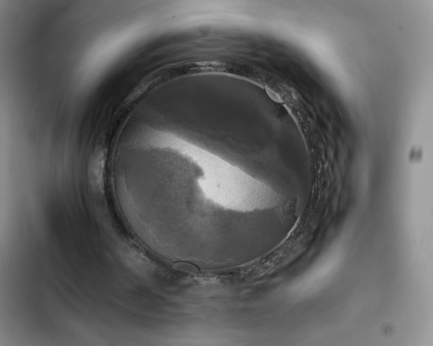 X0000102840194200808181356