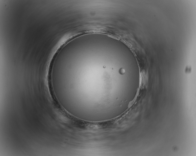 X0000102840195200808181356