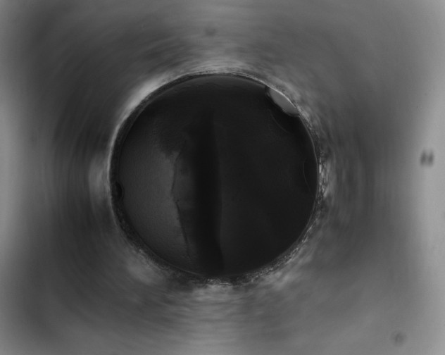 X0000102840196200808181356