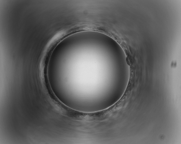 X0000102840197200808181356