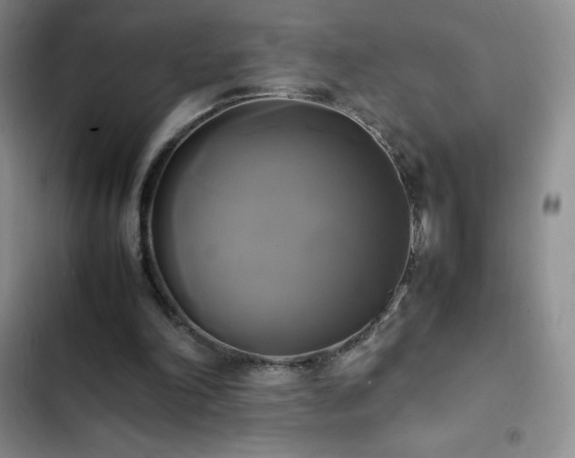 X0000102840198200808181356