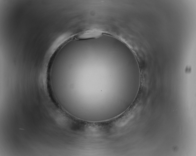 X0000102840199200808181356