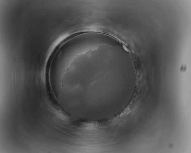 X0000102840200200808181356