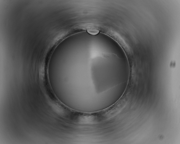 X0000102840202200808181356