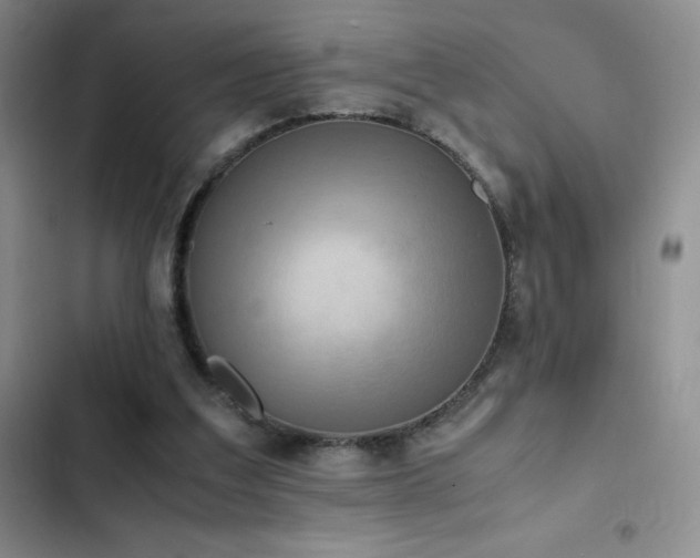 X0000102840203200808181356