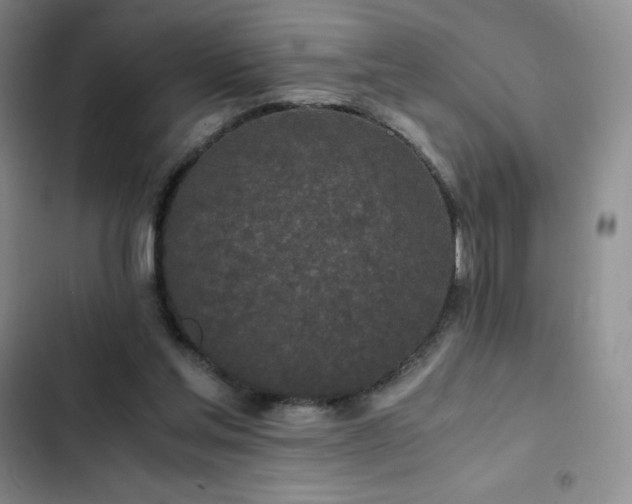 X0000102840205200808181356