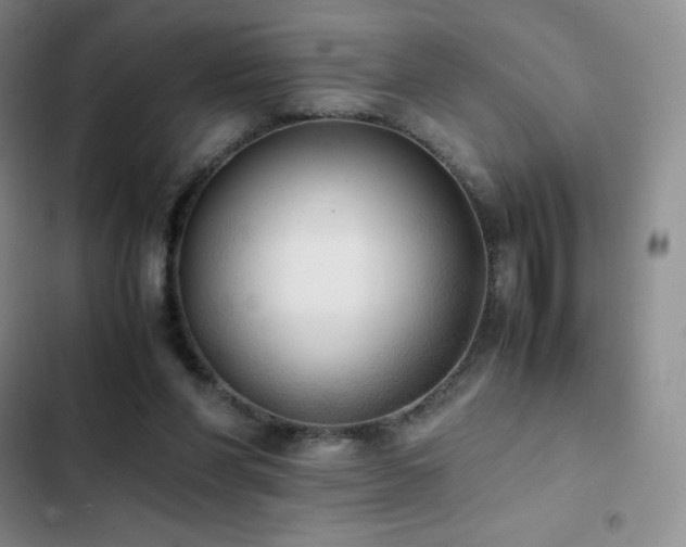 X0000102840206200808181356