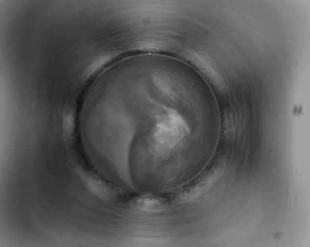 X0000102840208200808181356