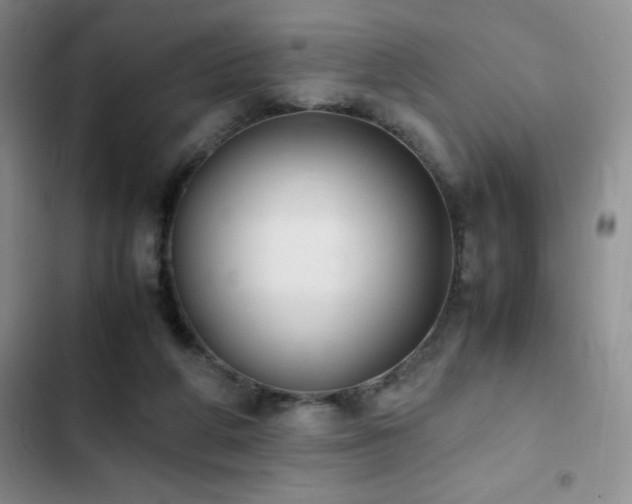 X0000102840210200808181356