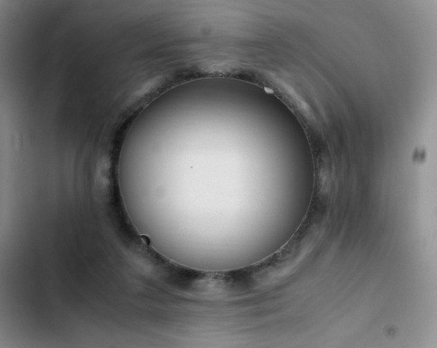 X0000102840211200808181356