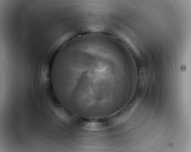 X0000102840212200808181356