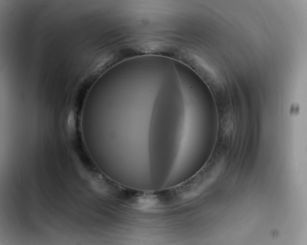 X0000102840214200808181356