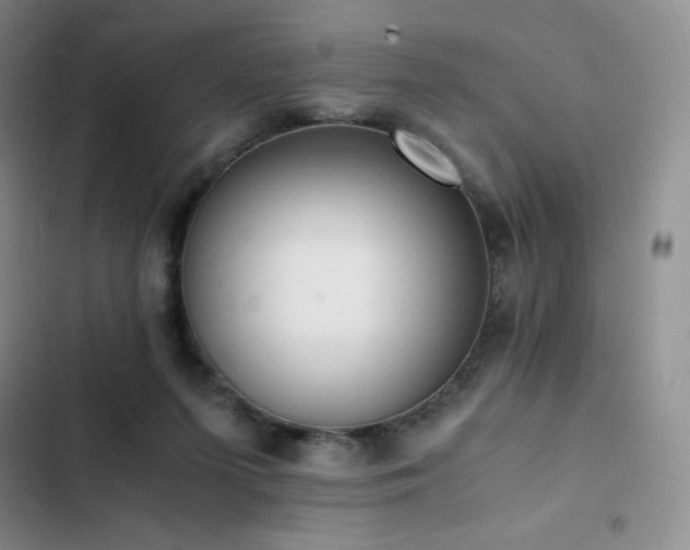 X0000102840215200808181356