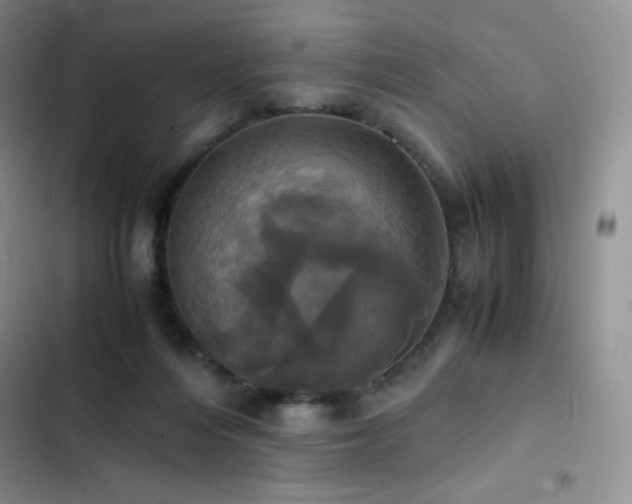 X0000102840216200808181356