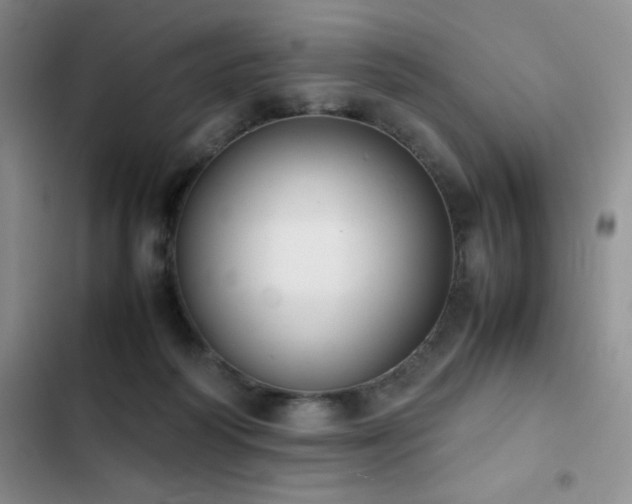 X0000102840218200808181356