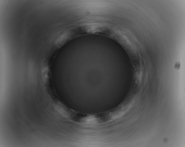 X0000102840219200808181356