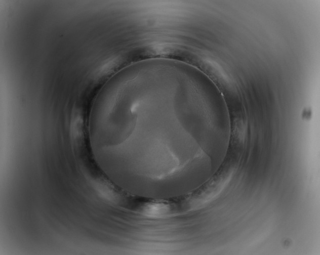 X0000102840220200808181356