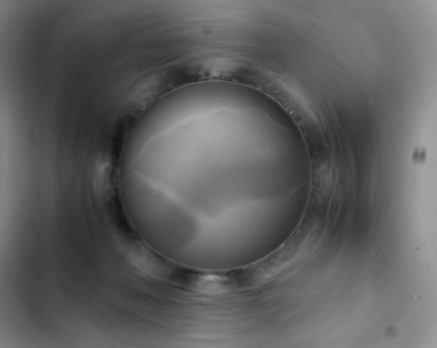 X0000102840222200808181356