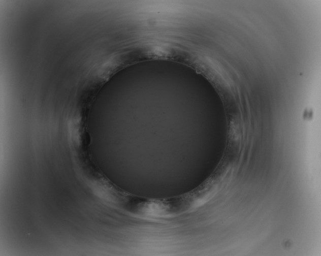 X0000102840223200808181356