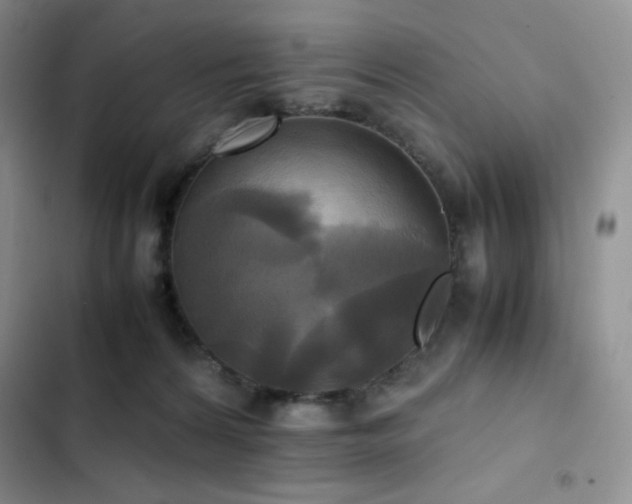 X0000102840224200808181356