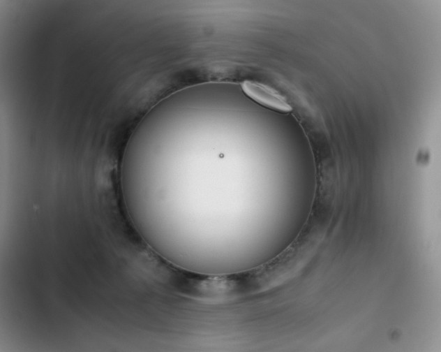 X0000102840225200808181356