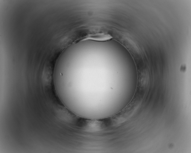 X0000102840226200808181355