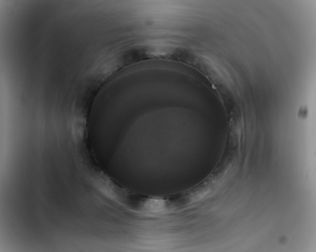 X0000102840227200808181355