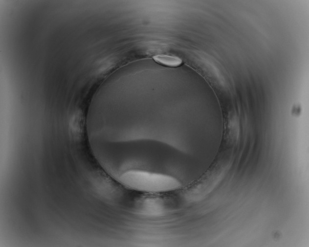 X0000102840228200808181355