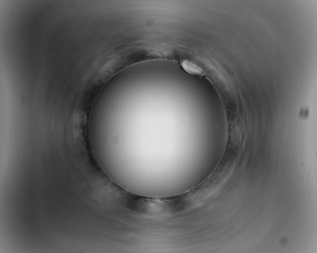 X0000102840229200808181355