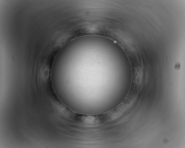 X0000102840230200808181355